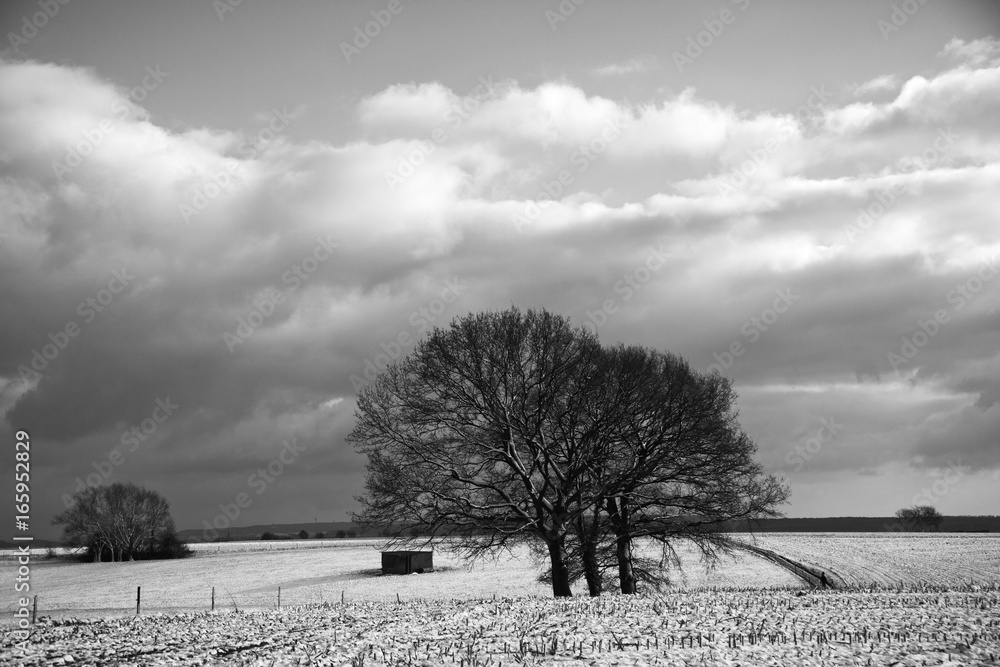 Winter over het cultuurlandschap in Zuid Limburg