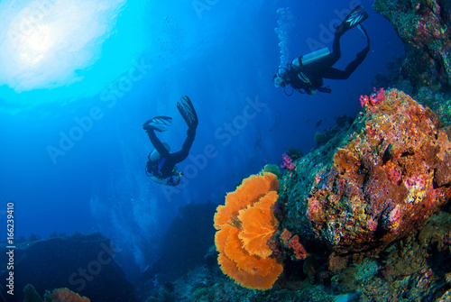 Plakat Cudowny podwodny świat z płetwonurków na rafie koralowej i wielkim fanem kolorowych mórz w Południowym Andaman, Tajlandia, nurkowanie podwodne seascape koncepcji.