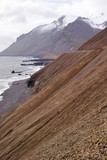 Coastal Cliffs Iceland