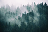 Misty landscape with fir forest in hipster vintage retro style