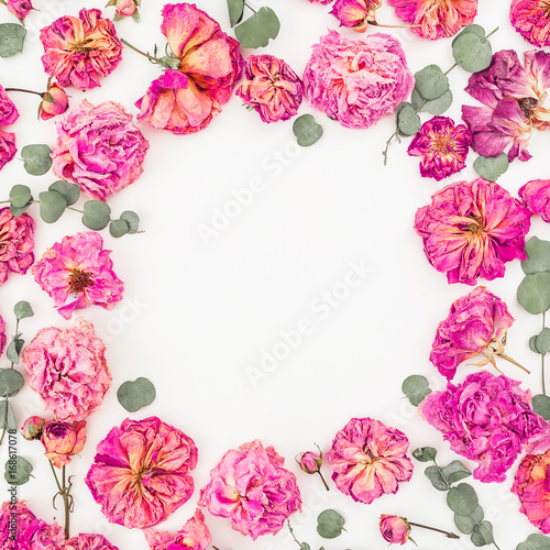 Fototapeta Floral round frame with pink roses and eucalyptus isolated on white background, Flat lay, Top view
