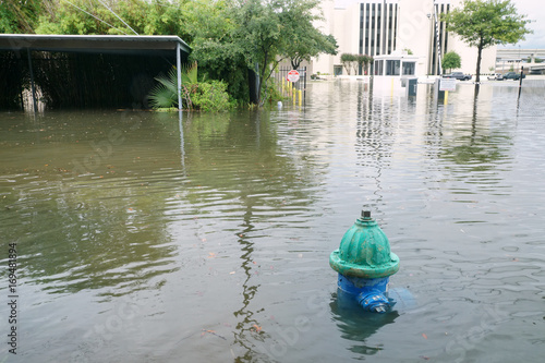 Fotoobraz na płótnie Napompowane ulice Houston. Hydrant pod wodą. Huragan Harvey
