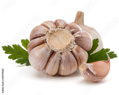 Garlic bulb and parsley herb still life isolated on white background cutout