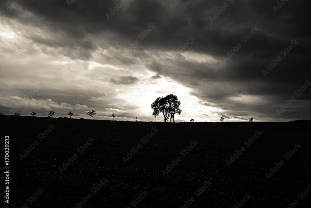 fear and hope