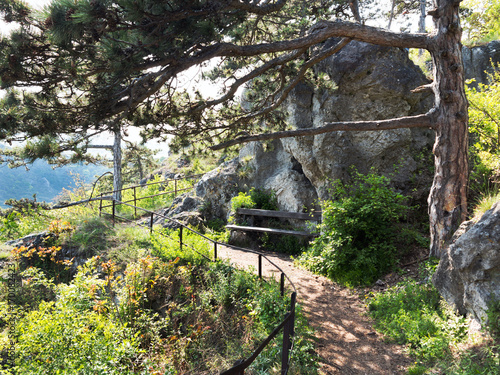 Wanderweg bei Mödling, Niederösterreich