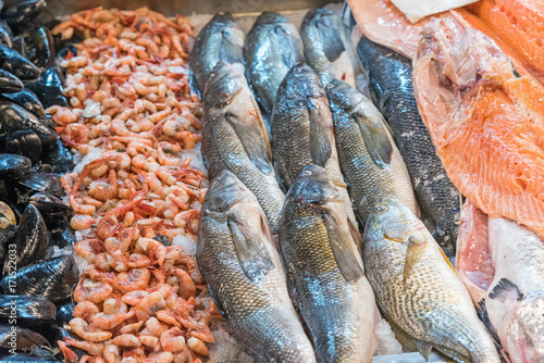 Fotoobraz na płótnie Ostrygi, krewetki i ryby w Mercado Central w Santiago, Chile