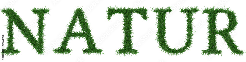 Natur - 3D rendering fresh Grass letters isolated on whhite background.