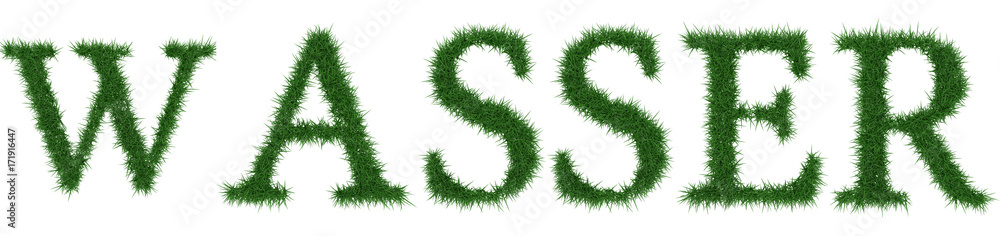 Wasser - 3D rendering fresh Grass letters isolated on whhite background.