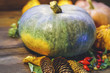 gray pumpkin on a blurred background gray pumpkin on a blurred background