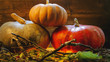Muscat pumpkin and olive green and red pumpkin. on the grass with branches. style halloween. Muscat pumpkin and olive green and red pumpkin. on the grass with branches. style halloween.