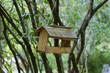 self-made bird feeder self-made bird feeder