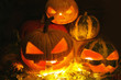 Funny pumpkin. halloween. faces. candle Funny pumpkin. halloween. faces. candle