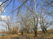 river. bright sky. field river. bright sky. field