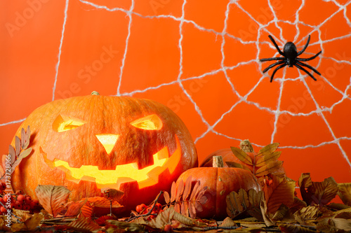 Plakat Rozjarzona Halloweenowa bania i czarny pająk wśród żółtych liści na tle sieć w pomarańczowej ścianie