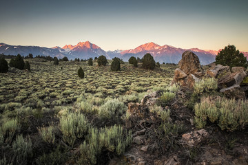 Eastern Sierra Sunrise