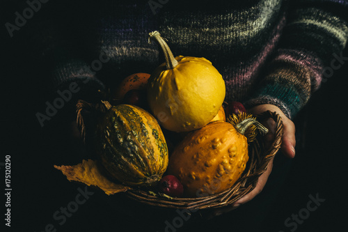Autumn concept - hands holding basket with pumpkins and yellow leaves