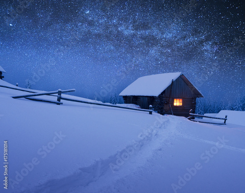 Christmas landscape with starry sky © Oleksandr Kotenko