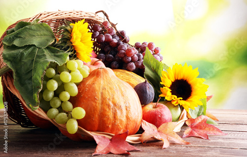 Autumn nature concept. Fall fruit and vegetables on wood. Thanksgiving dinner.
