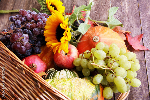 Autumn nature concept. Fall fruit and vegetables on wood. Thanksgiving dinner.
