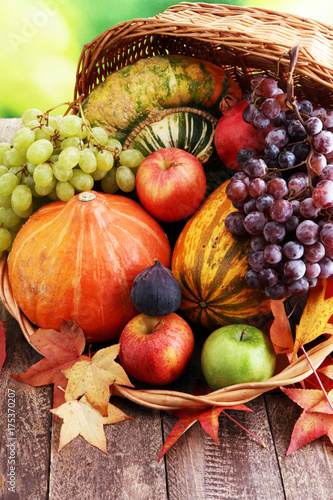 Autumn nature concept. Fall fruit and vegetables on wood. Thanksgiving dinner.