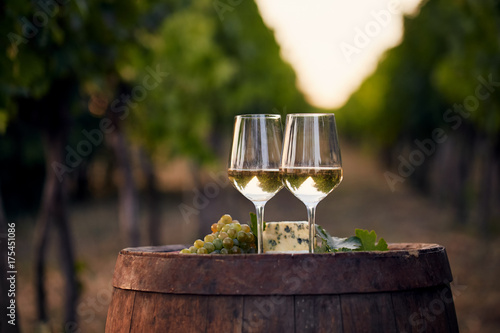 Two glasses of white wine on the old wooden barrel outdoors. Sunset in the vineyard.