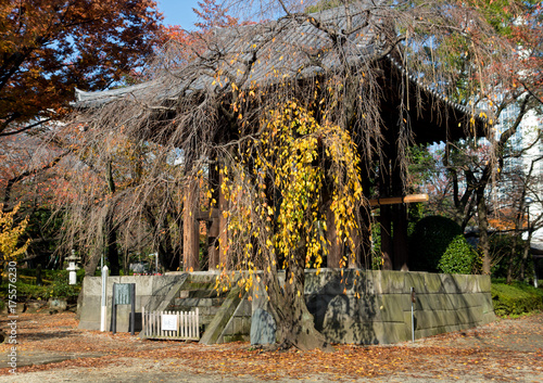 Zdjęcie XXL Jesień park z dzwonnicą w buddyjskiej świątyni Zojoji w centrum Tokio, Japonia