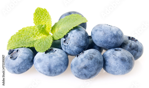 Fresh blueberry on white background