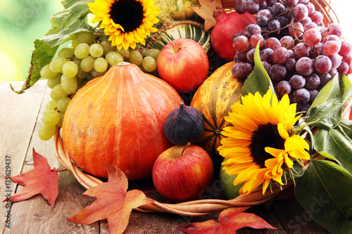 Autumn nature concept. Fall fruit and vegetables on wood. Thanksgiving dinner.