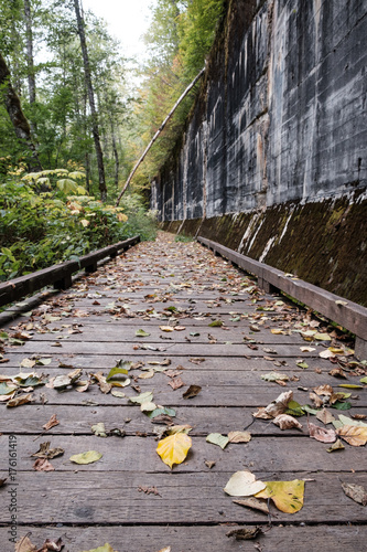 A path along an old railline amongst the forest and alongside concrete walls