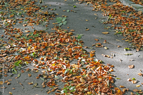 Herbstlaub auf der Straße