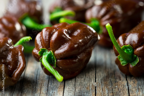 Habanero chocolate chili