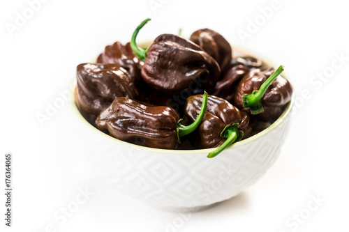 Habanero chocolate chili isolated on white background