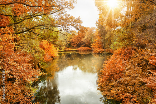 Der Berliner Tiergarten im Herbst