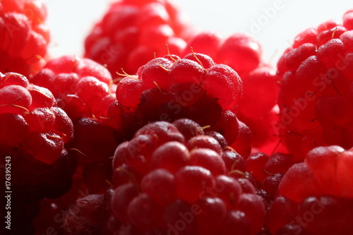 Reife, frische Himbeeren (Rubus idaeus)