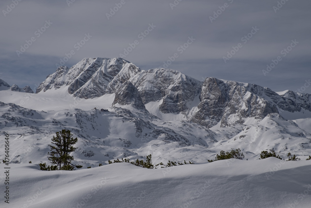 winter landscape