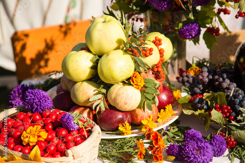 harvest of ripe apples in the fall in nature