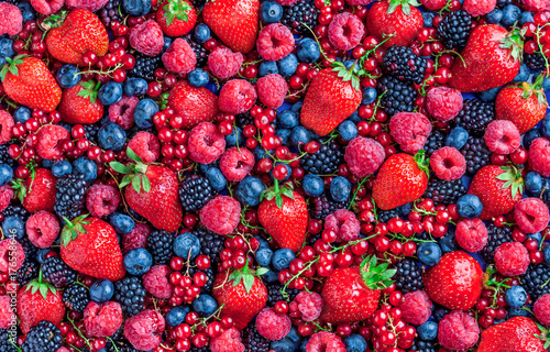 Fotoobraz na płótnie Jagody narzutów duże zbliżenie kolorowe mix mieszanka strawbwerry, borówki, maliny, jeżyny, czerwonej porzeczki w studio na ciemnym tle w studio