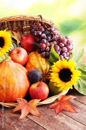 Autumn nature concept. Fall fruit and vegetables on wood. Thanksgiving dinner.