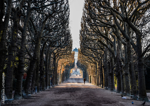 Jardin des plantes, Paris