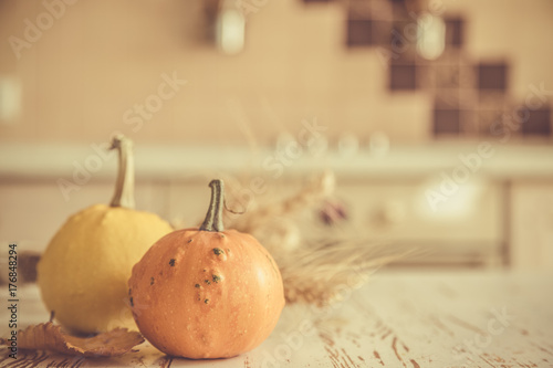 Thanksgiving concept - decorations with pumpkins