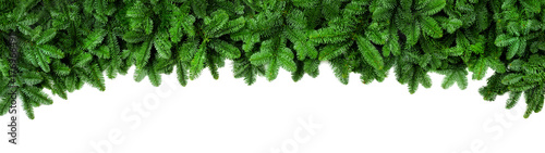 Breite Verzierung für Advent und Weihnachten: frische Tannenzweige isoliert auf weiß