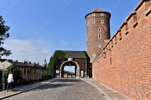 Plakat Polska Zamek na Wawelu Zamek Babel Kraków Miejsce światowego dziedzictwa Polska Wawel Zamek Królewski Kraków Kraków Światowe Dziedzictwo Zamek Królewski na Wawelu Polska