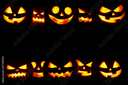 Halloween Pumpkins on black