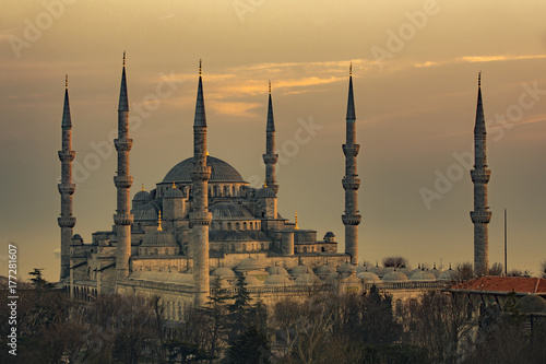 The Blue Mosque in Istanbul Turkey