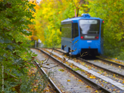 Plakat Rosja, Moskwa, Październik 2017, tramwaj podąża swoją trasą przez jesienny park miejski