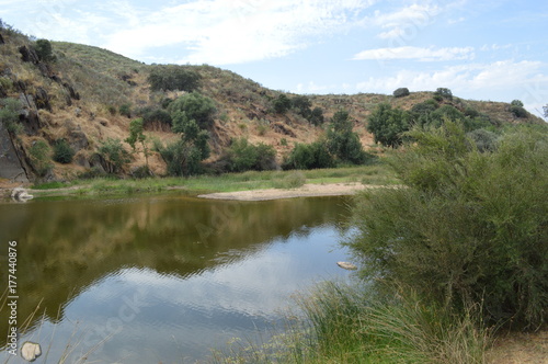 COA/DOURO VINHATEIRO
