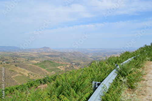 COA/DOURO VINHATEIRO