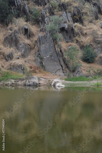COA/DOURO VINHATEIRO