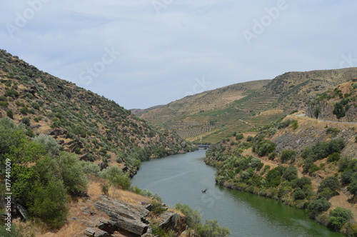 COA/DOURO VINHATEIRO