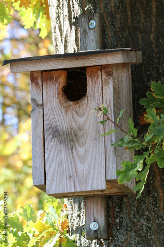 Nistkasten/ Vogelhaus an einem Baum/ Eiche (Quercus)